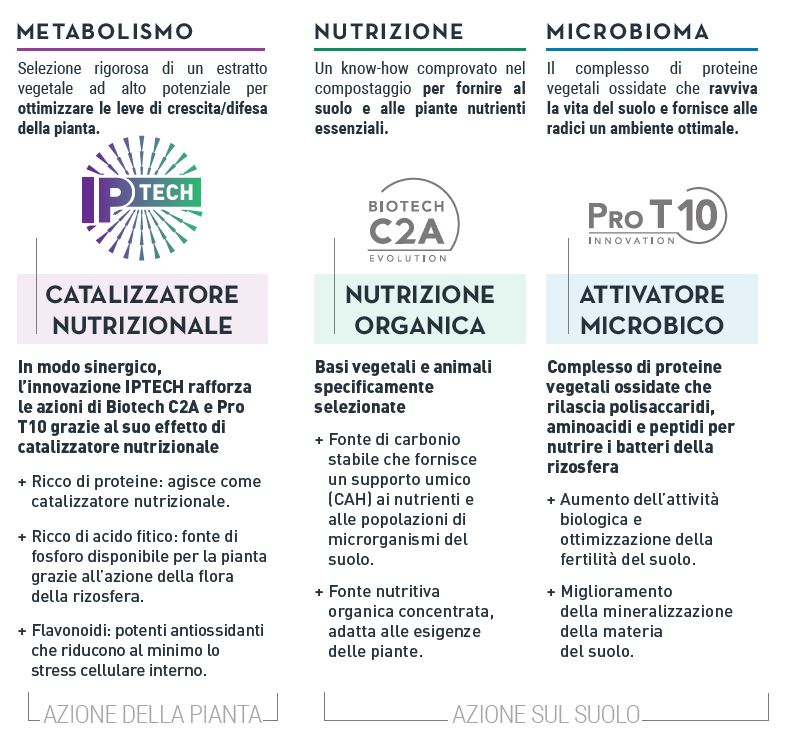 funzionamento Fray 7 frayssinet