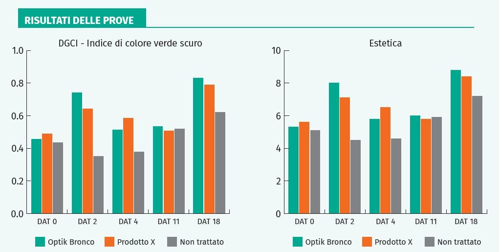 Risultati ottenuti con il colorante Optik Bronco_test
